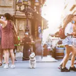 Torino ospiterà nel 2026 l’incontro nazionale della rete RE.A.DY