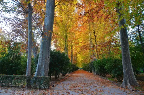 DOMANI L’INTITOLAZIONE DDOMANI L’INTITOLAZIONE DEL GIARDINO “ADA ROSSI”EL GIARDINO “ADA ROSSI”