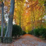 DOMANI L’INTITOLAZIONE DDOMANI L’INTITOLAZIONE DEL GIARDINO “ADA ROSSI”EL GIARDINO “ADA ROSSI”