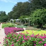 Intitolato a Torino il Giardino Ada Rossi, memoria di un’Europa unita
