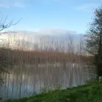 “Read me by the River”: la rassegna letteraria che anima le sponde del Po