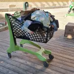 San Salvario, Aiuola Ginzburg: tra Degrado Persistente e Appelli dei Residenti