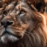 Torino celebra cosi la Giornata Internazionale del Leone