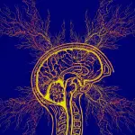 Un ponte tra medicina, tecnologia e Parkinson: innovazione al servizio della qualità della vita