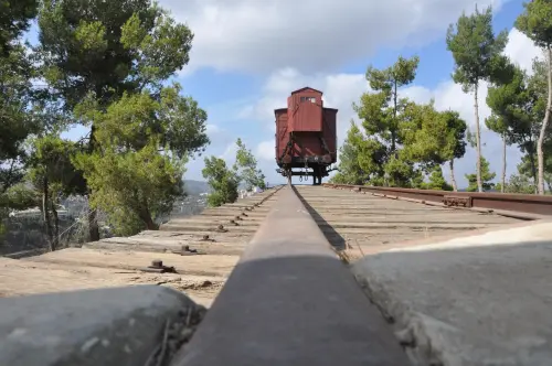 Torino onora il Giorno della Memoria: la Sala Rossa tra responsabilità storica e impegno civile