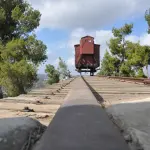 Torino onora il Giorno della Memoria: la Sala Rossa tra responsabilità storica e impegno civile