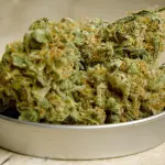 Torino, due arresti per spaccio in Corso Principe Oddone