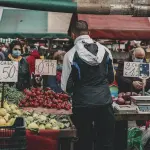 Osservatorio 2024: fotografia aggiornata dei lavoratori dipendenti del privato