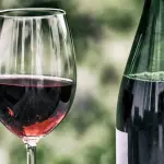 UniTo al Vinitaly 2026: formazione e vino si incontrano a Verona