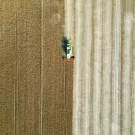 Madagascar, UniTo forma giovani agricoltori con ITACA