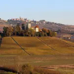 Mercato del libero scambio, la Regione valuta il ricorso contro la delibera del Comune di Torino