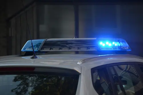 Torino, rapina con cane Malinois: arrestato 37enne
