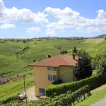 Giornata del Veterano, Nicco: “Non dimenticare è un dovere e un gesto del cuore”