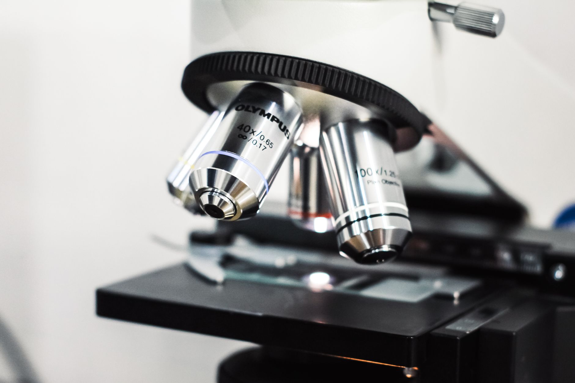 Torino, UniTo in Giappone per nuovi accordi scientifici