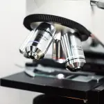 Torino, UniTo in Giappone per nuovi accordi scientifici